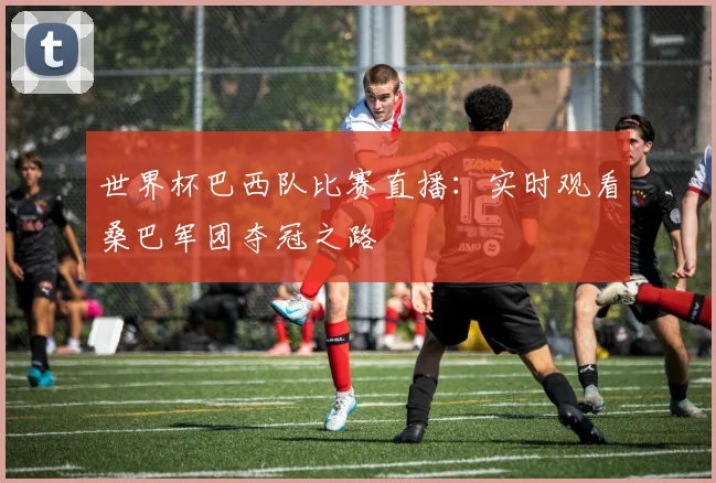 世界杯巴西队比赛直播：实时观看桑巴军团夺冠之路