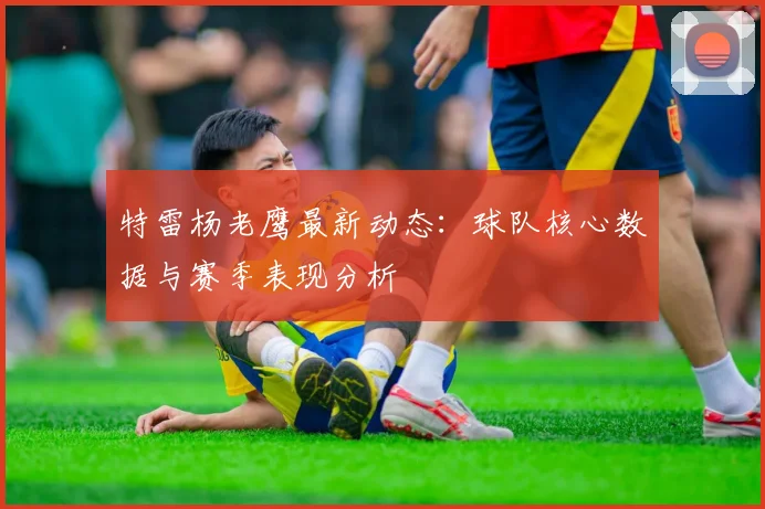特雷杨老鹰最新动态:球队核心数据与赛季表现分析