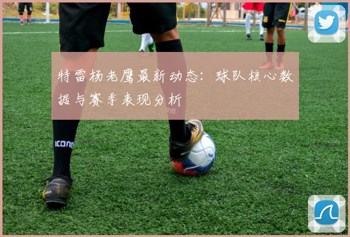 特雷杨老鹰最新动态：球队核心数据与赛季表现分析