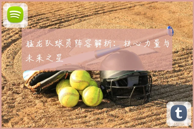 猛龙队球员阵容解析：核心力量与未来之星