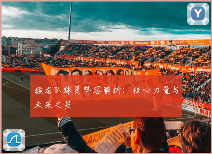 猛龙队球员阵容解析：核心力量与未来之星